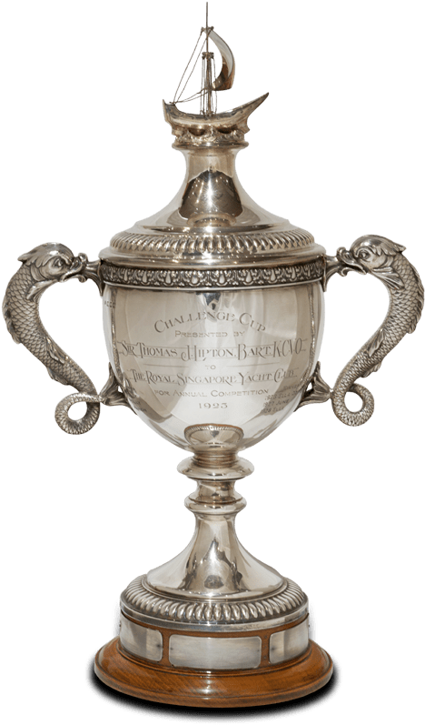 Our Trophies - Trophy (480x805), Png Download