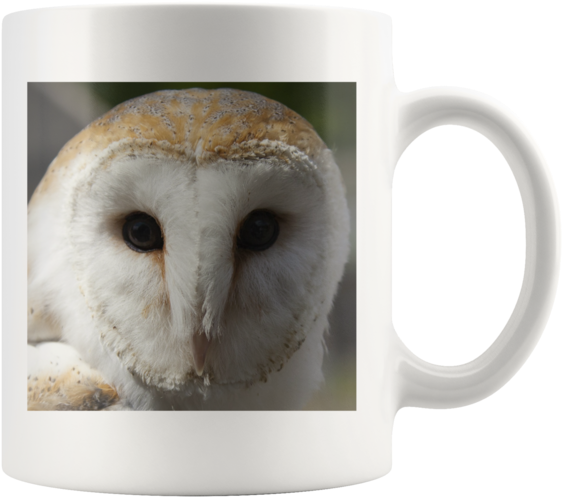 Barn Owl White Mug - Mug (580x580), Png Download