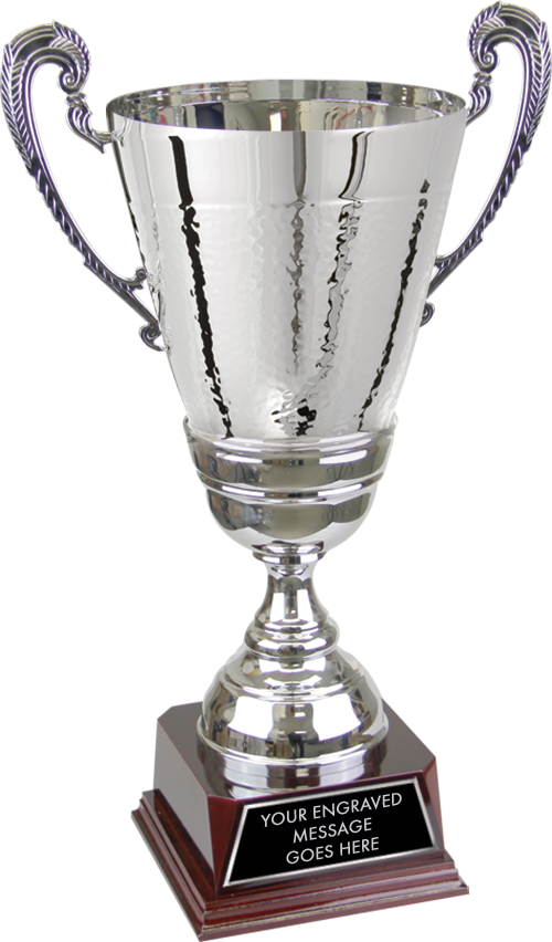 Metal Hammered Finish Silver Cup On Rosewood Piano - Trophy (500x852), Png Download