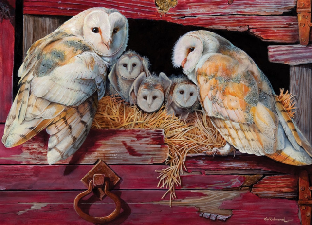 Barn Owls (640x640), Png Download