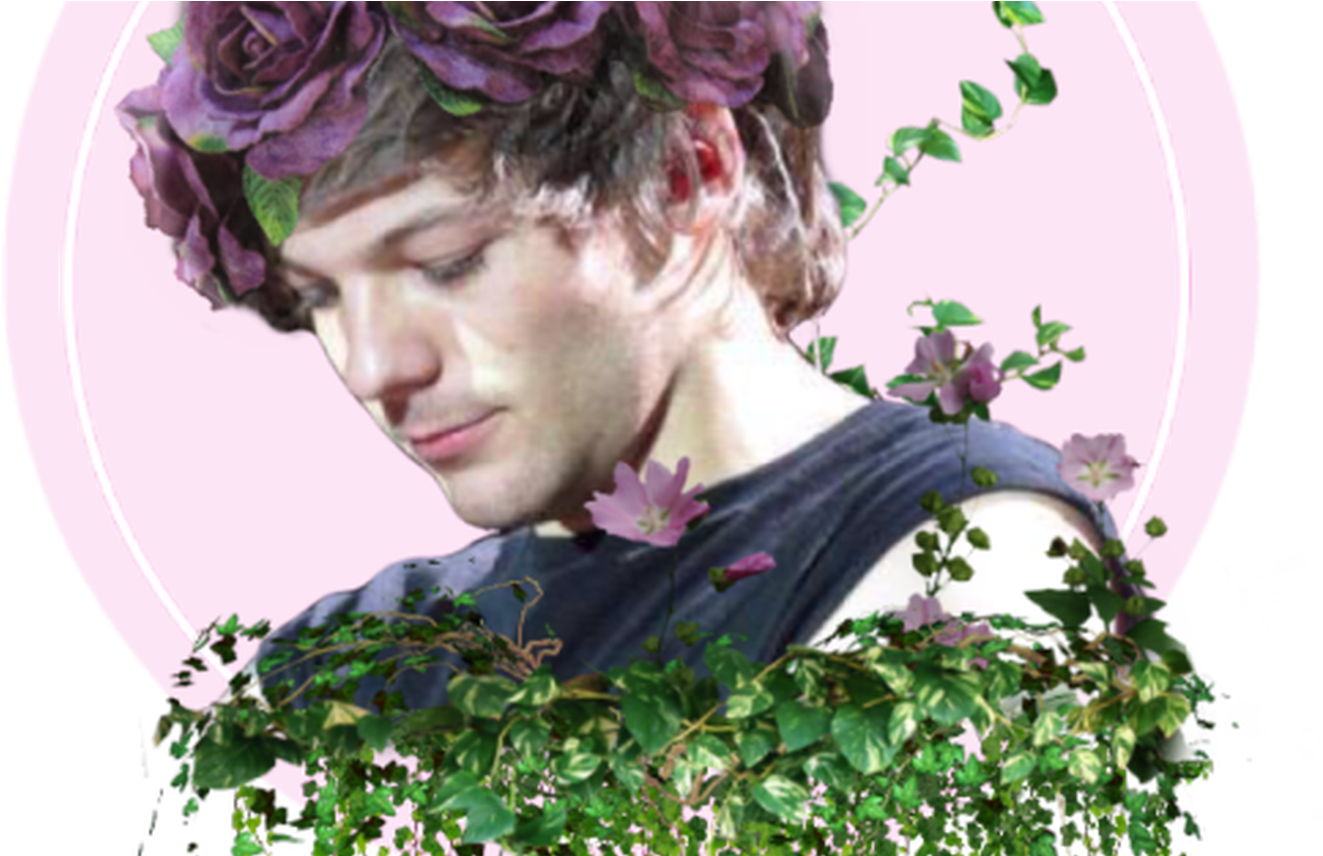 Flowercrown Louis Tumblr - Louis Tomlinson Art Transparent (1368x855), Png Download