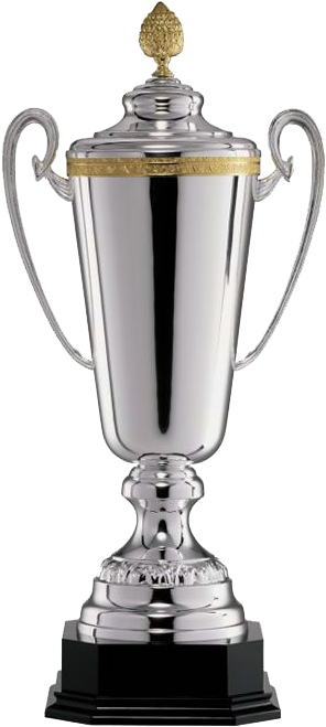 Source - - Trophy (480x680), Png Download