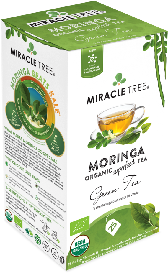 Miracle Tree (1024x1024), Png Download