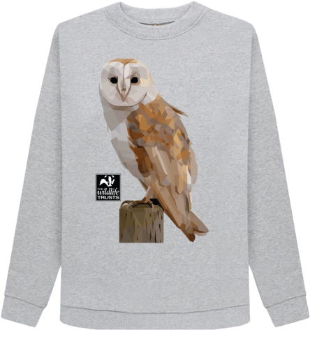Owl Jumper - Sweater (640x674), Png Download