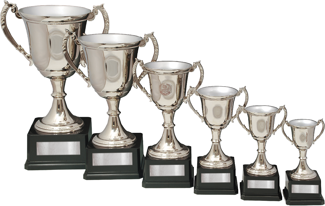 Ad Metal Cup Gold / Silver Mc4 Series - Trophy (1112x754), Png Download