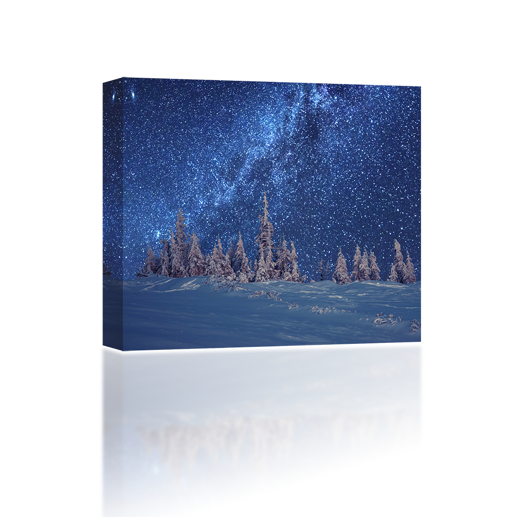 Birch (1024x1024), Png Download