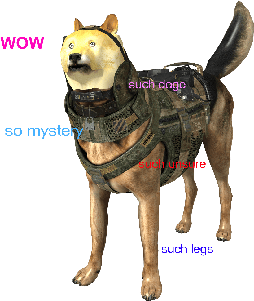 Some - Companion Dog (1024x1024), Png Download