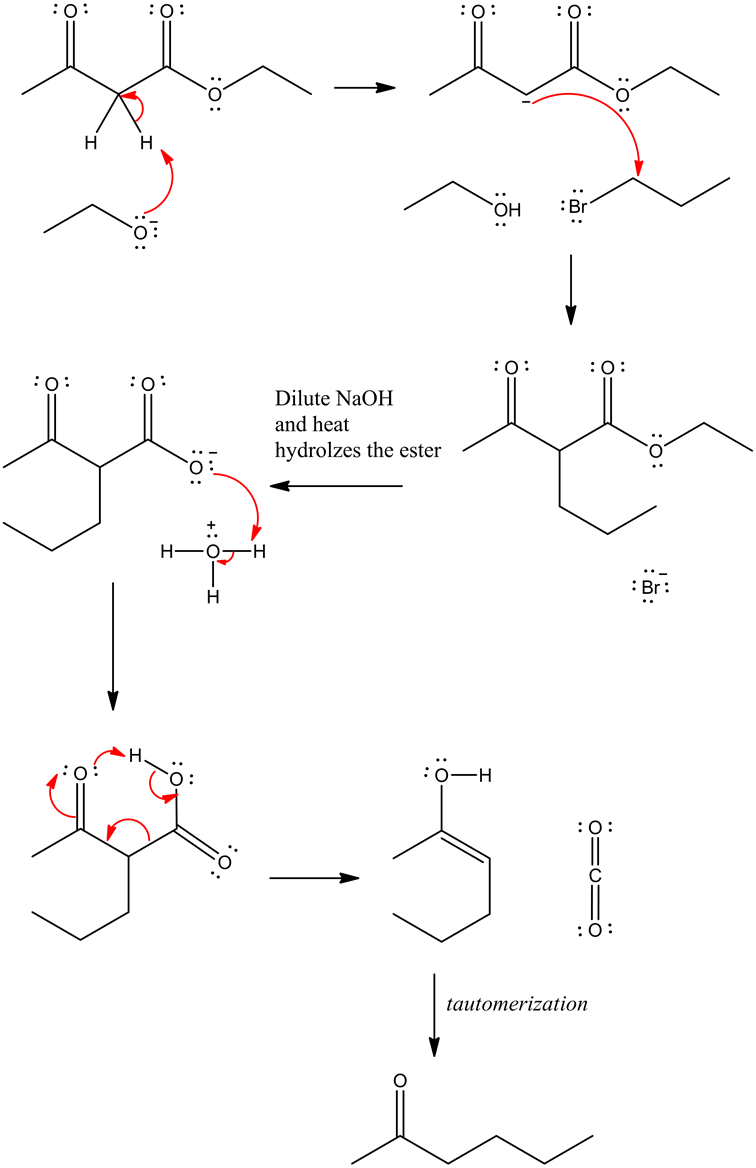 Image - Diagram (756x1168), Png Download