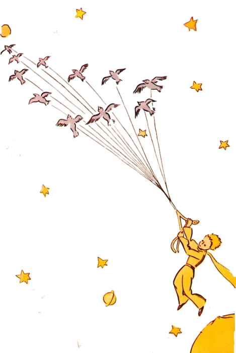 O Príncipe Se Aproveitou De Uma Migração De Pássaros - Little Prince Quotes Responsible (469x700), Png Download