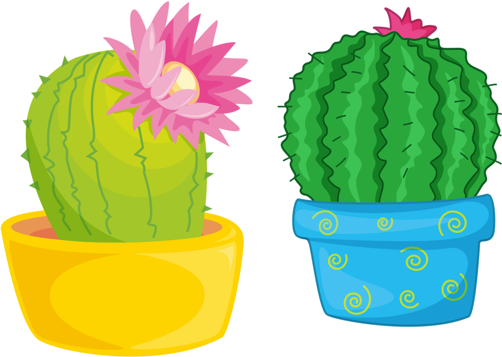 cactus #cacto #feliz #planta # Flor # Flores - Cactus Feliz, HD Png  Download , Transparent Png Image - PNGitem