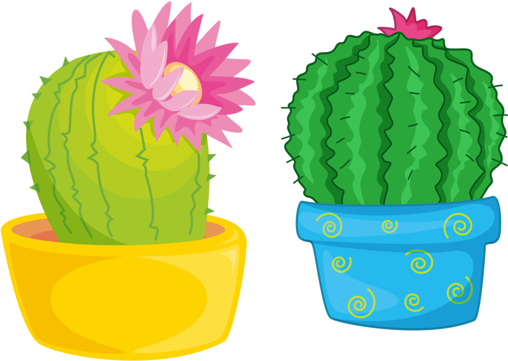 pretty_cactus.PNG (570×533)  Cactos desenho, Cactus ilustração