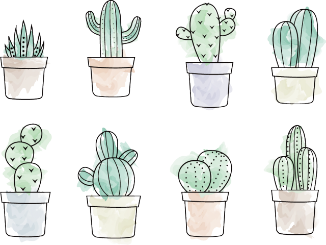 Drawn Cactus Vector - Cactus Doodle (640x480), Png Download