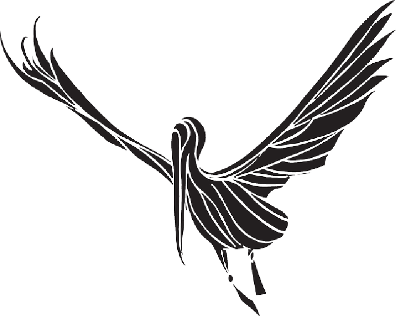 Baby Silhouette Bird Flying Wings Stork Fly Public (800x640), Png Download