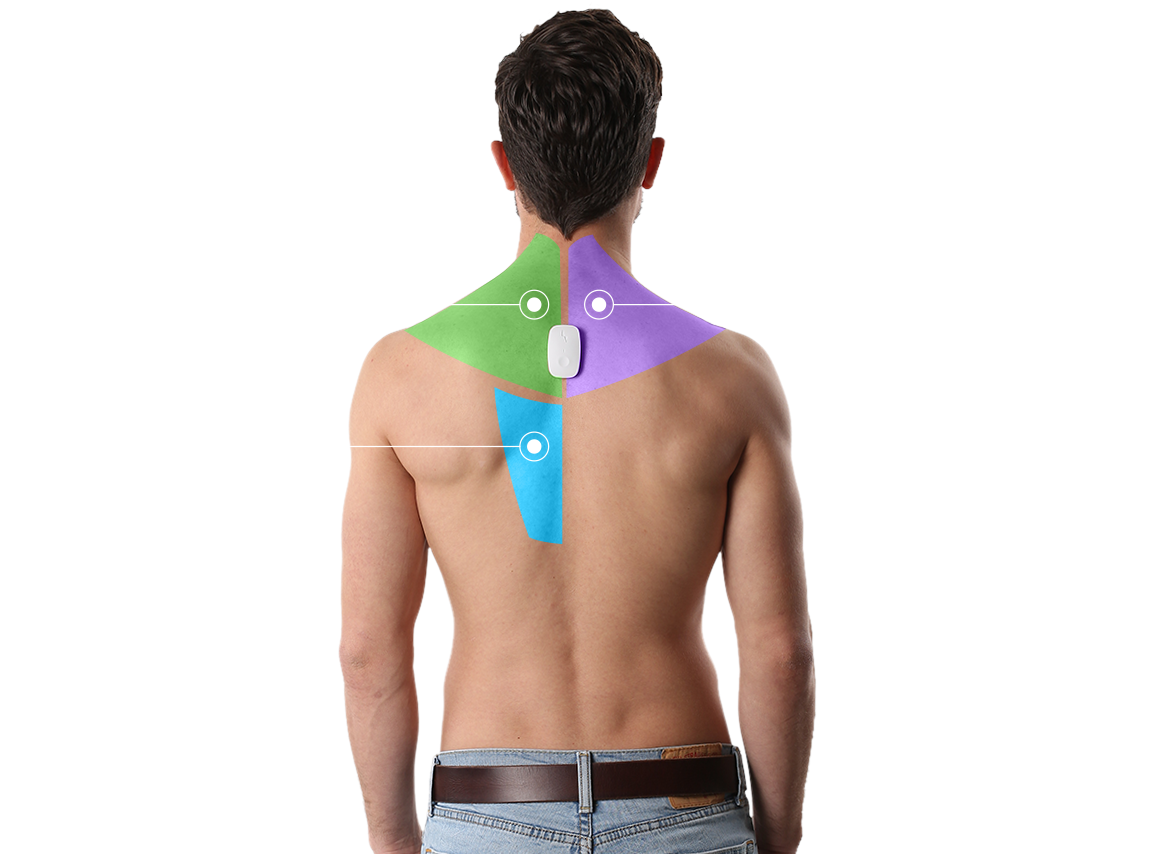 Posture Training On The Go Inspector Gadget, Career, - Upright Go Posture Trainer (1191x870), Png Download