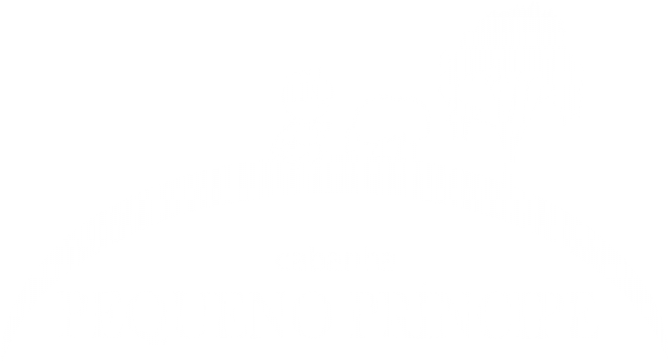 Cabanha Pequeno Príncipe - Camel Master Series (1024x576), Png Download