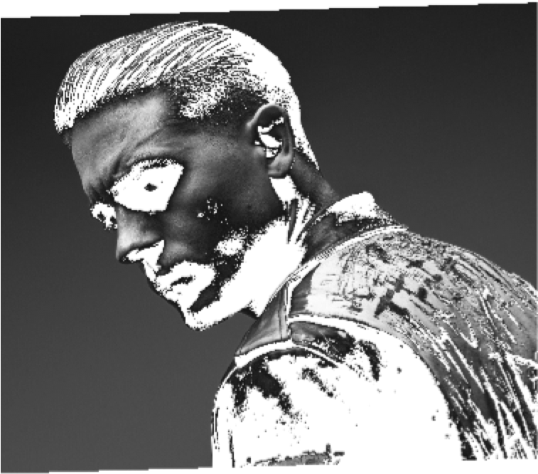 Model Image Graphic Image - Monochrome (756x1543), Png Download