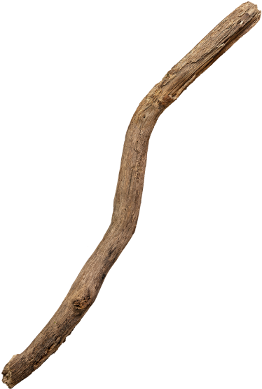 Tree Branch - Snake (866x650), Png Download