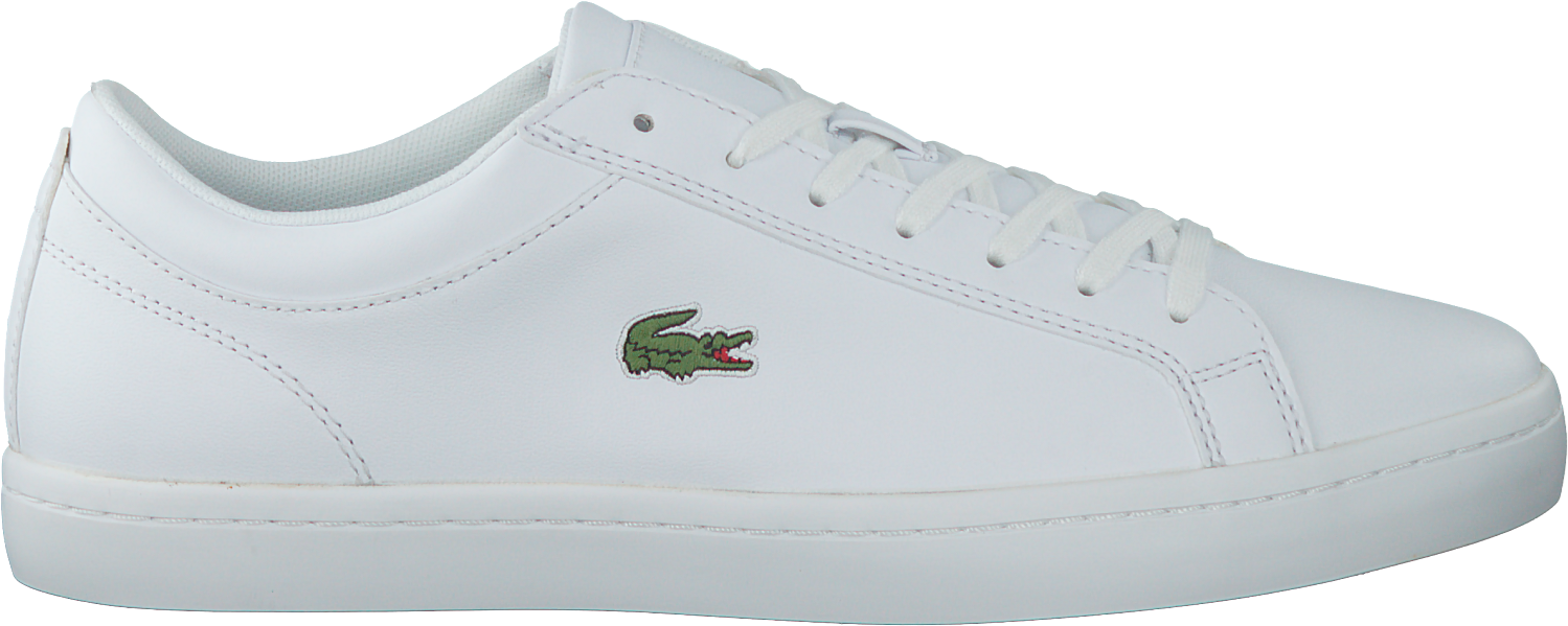 Next - Lacoste Schoenen Wit Jongens Maat 39 (1500x614), Png Download