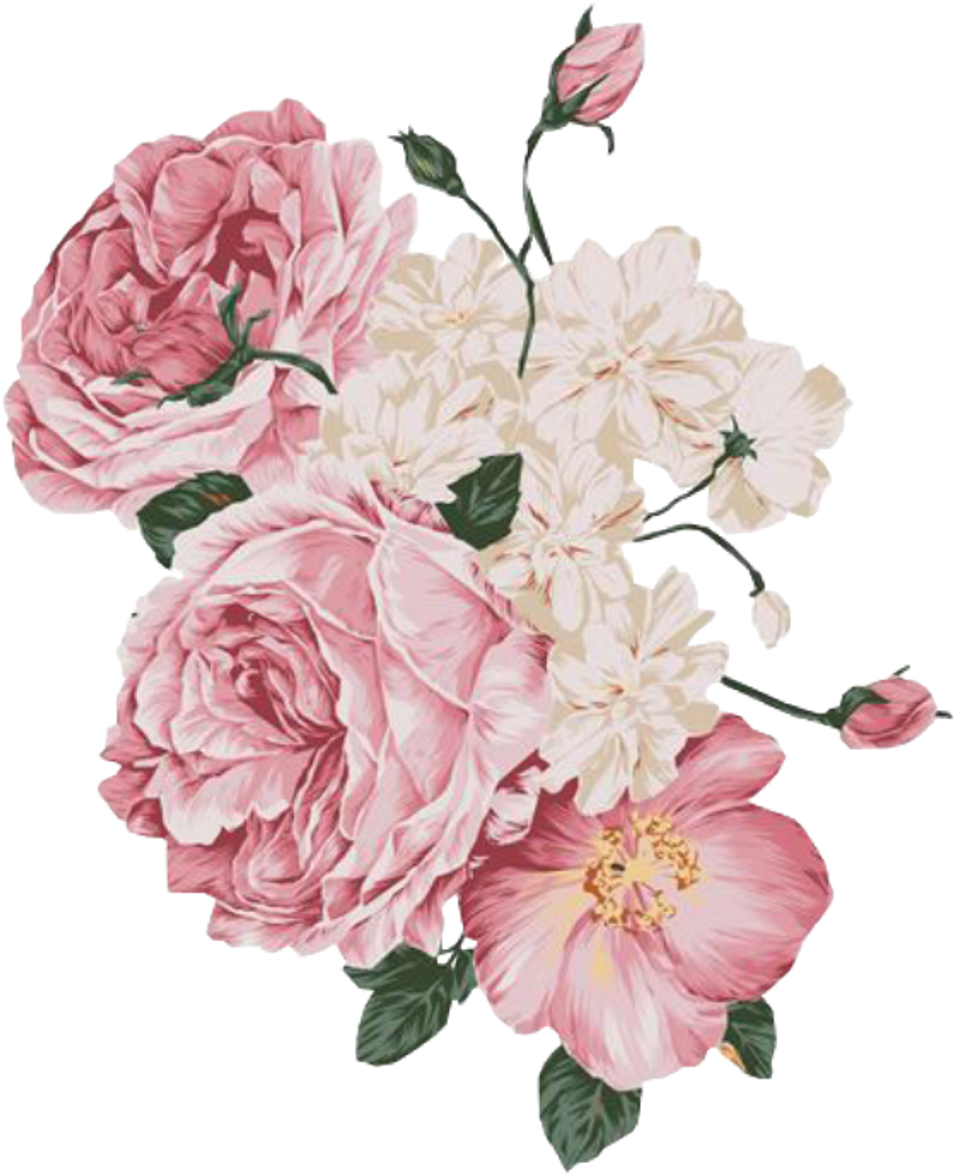 Report Abuse - Pale Pink Flower Png (1024x1536), Png Download