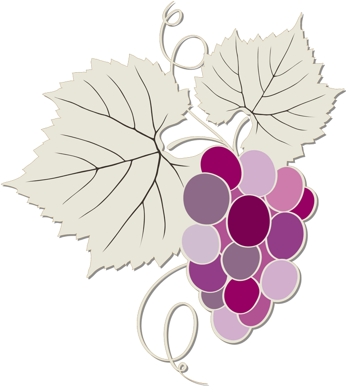 Our Wines - Grape (800x857), Png Download