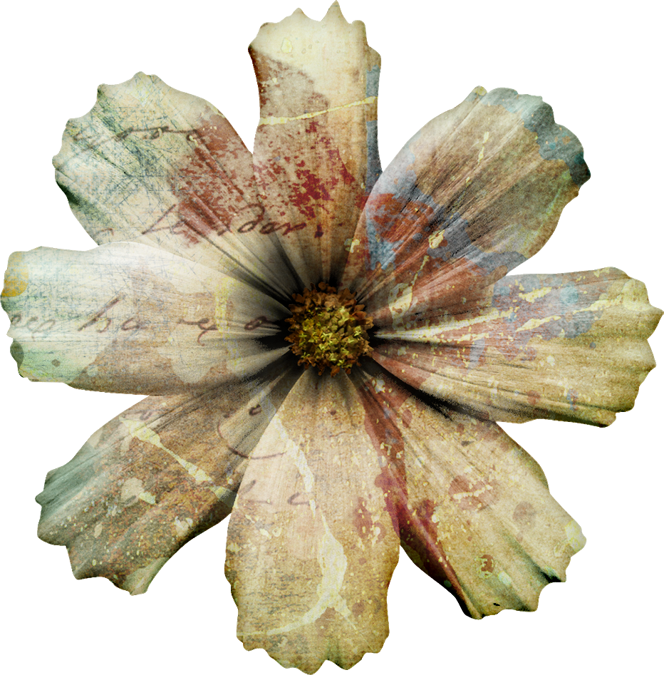 I Decided To Go Crazy With Splatter Brushes, Overlays, - Clematis (932x947), Png Download