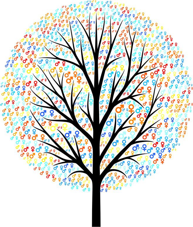 Medium Image - Siluet Pohon (658x772), Png Download