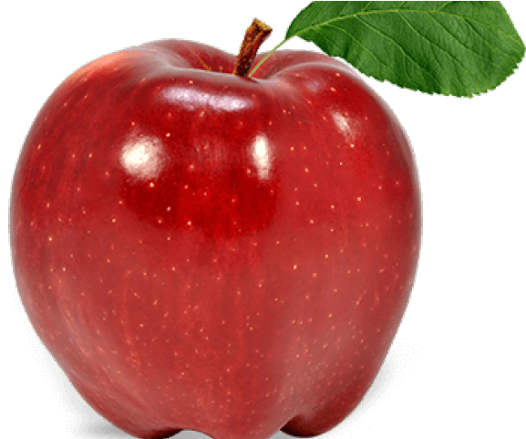 Imagine Having This Post Was Made Meme (640x480), Png Download