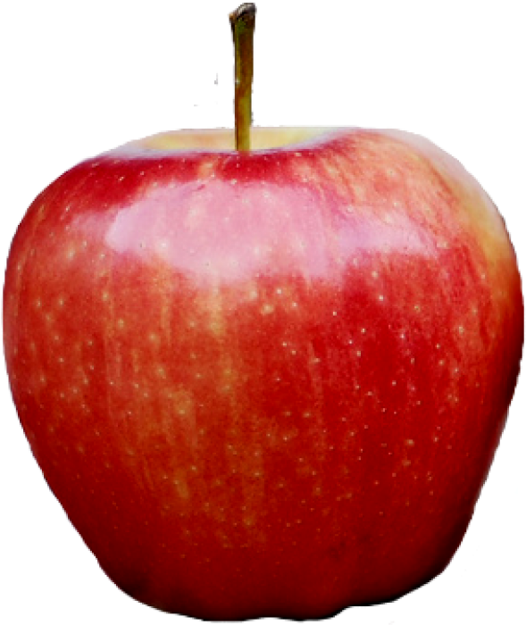 Red Kashmir Apple Png Free Download - Png Image Of Apple (600x705), Png Download