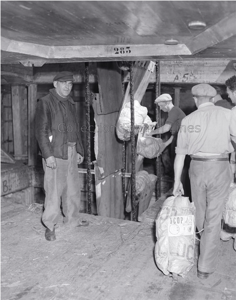 Unloading Banana Bunches From Cargo Ship Barfleur At (800x600), Png Download