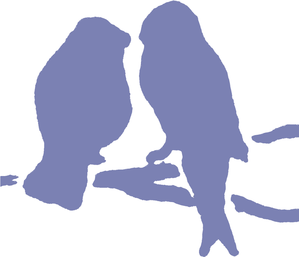 Com/wp Text Logo - Bird Of Prey (1024x1024), Png Download