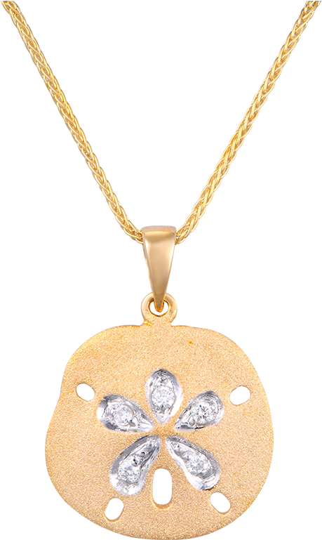 Sand Dollar Pendant - Locket (1024x768), Png Download