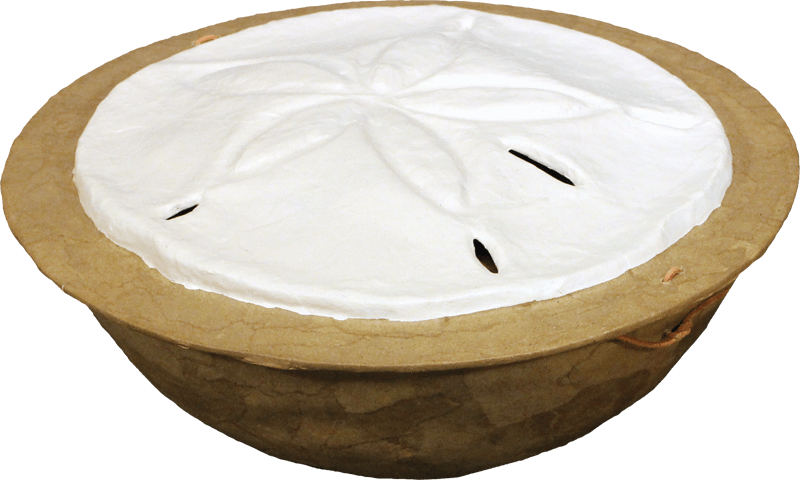Serenity Sand Dollar Water-soluble Urn - Coffee Table (800x480), Png Download