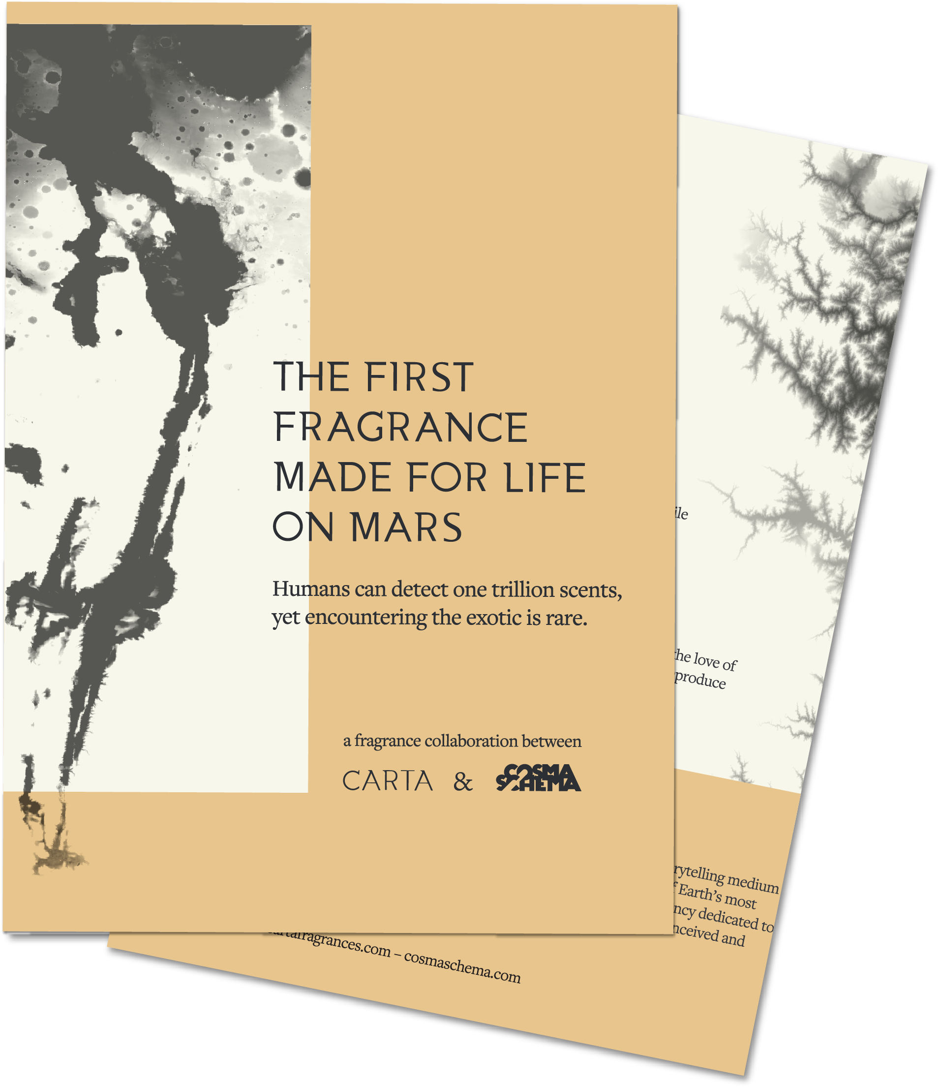 Leave - Tree (2083x2289), Png Download