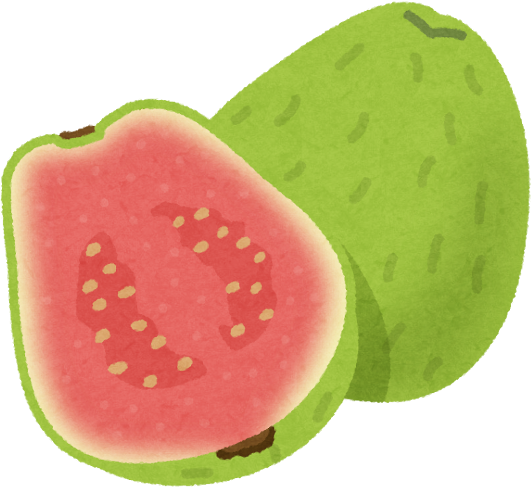 Guava Fruit Clip Art - グアバ イラスト 無料 (800x800), Png Download