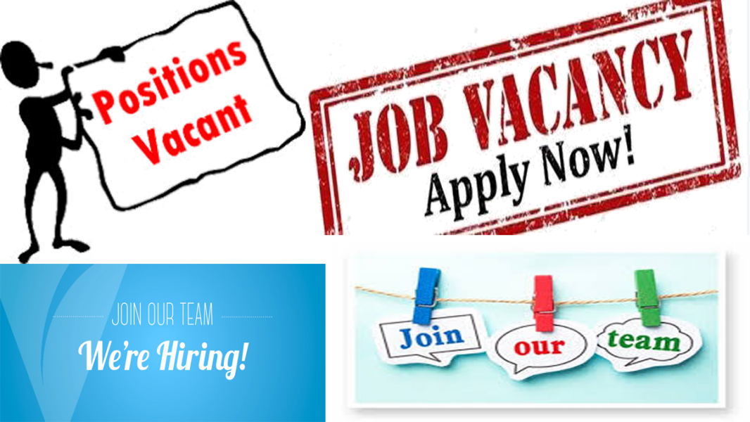 Executive Job Openings February - Calligraphy (1066x600), Png Download