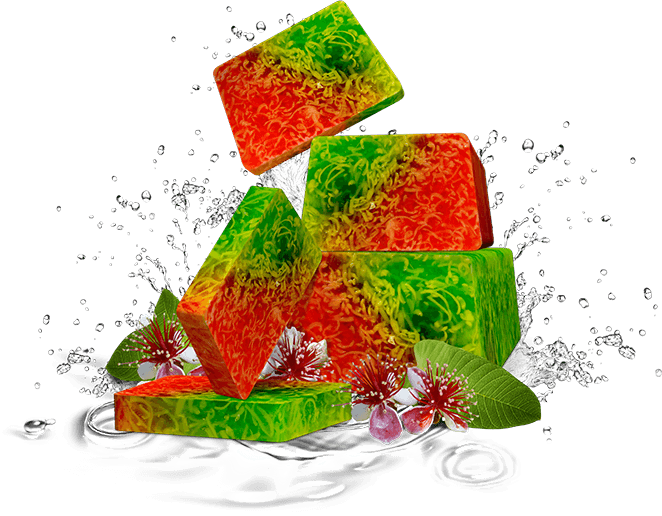 Guava Blossom - Jell-o (662x516), Png Download