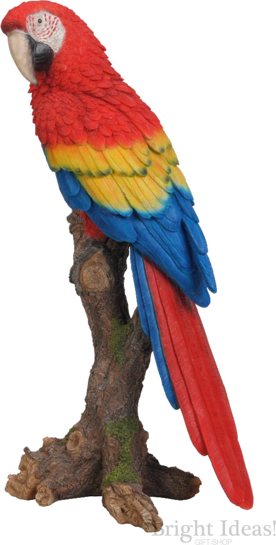 Red Macaw Exotic Bird Vivid Arts Real Life - Parrot Perching On Tree (1000x1805), Png Download