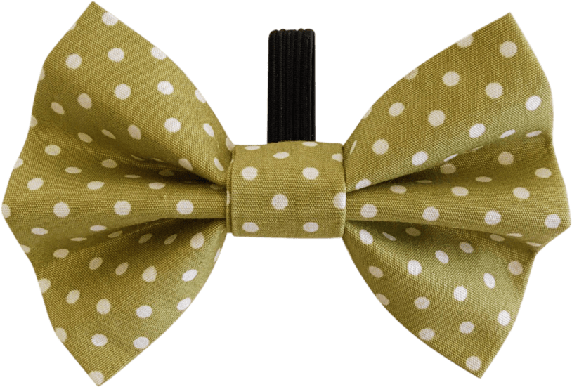 Green Polka Dot Bow Tie - Polka Dot (1280x961), Png Download
