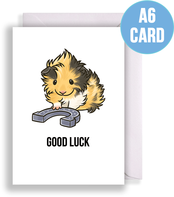 Good Luck Guinea Pig Card - Greeting Card (801x801), Png Download