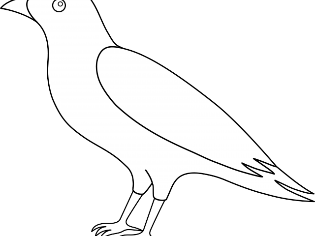 Crow Clipart Flying - Pigeons And Doves (640x480), Png Download