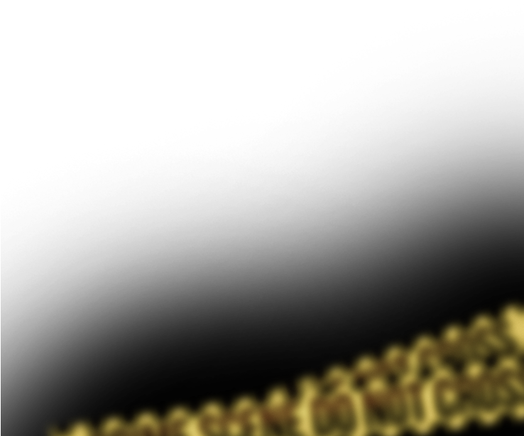 Dont Cross Png ➤ Download - Macro Photography (737x977), Png Download