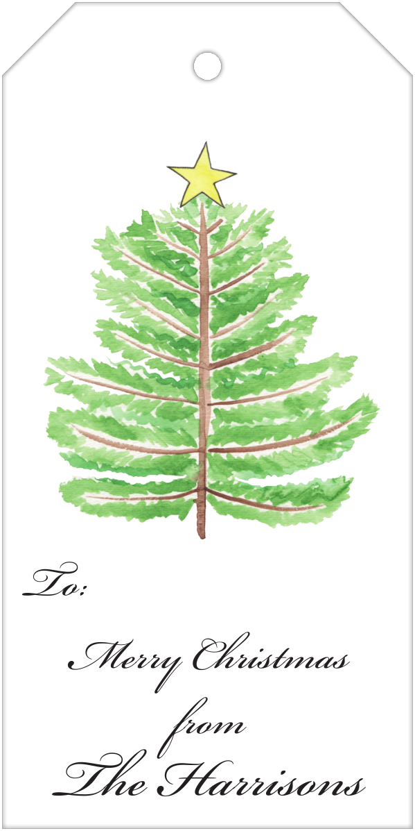 Christmas Tree (599x1197), Png Download