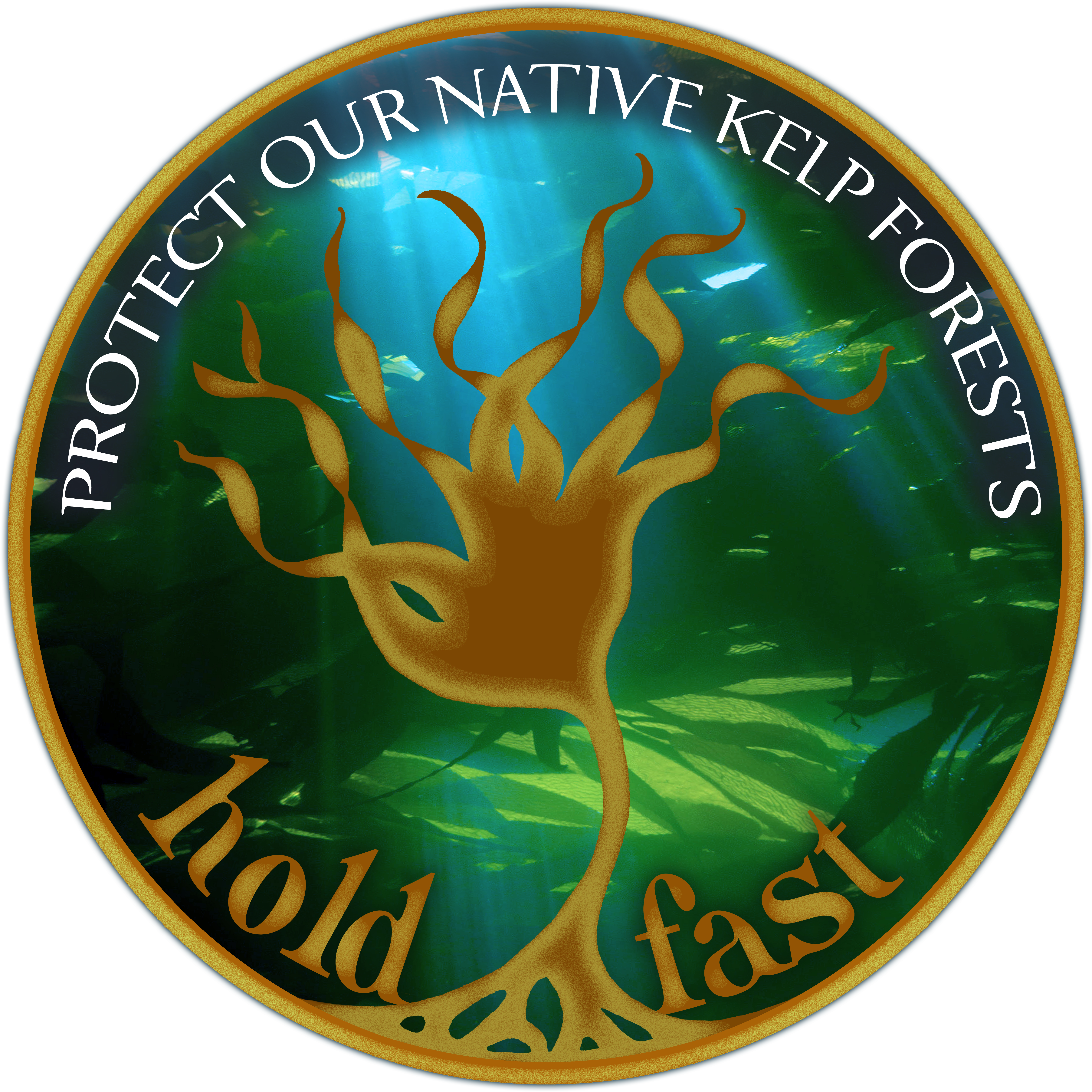 Click Here To Download (6614x6614), Png Download