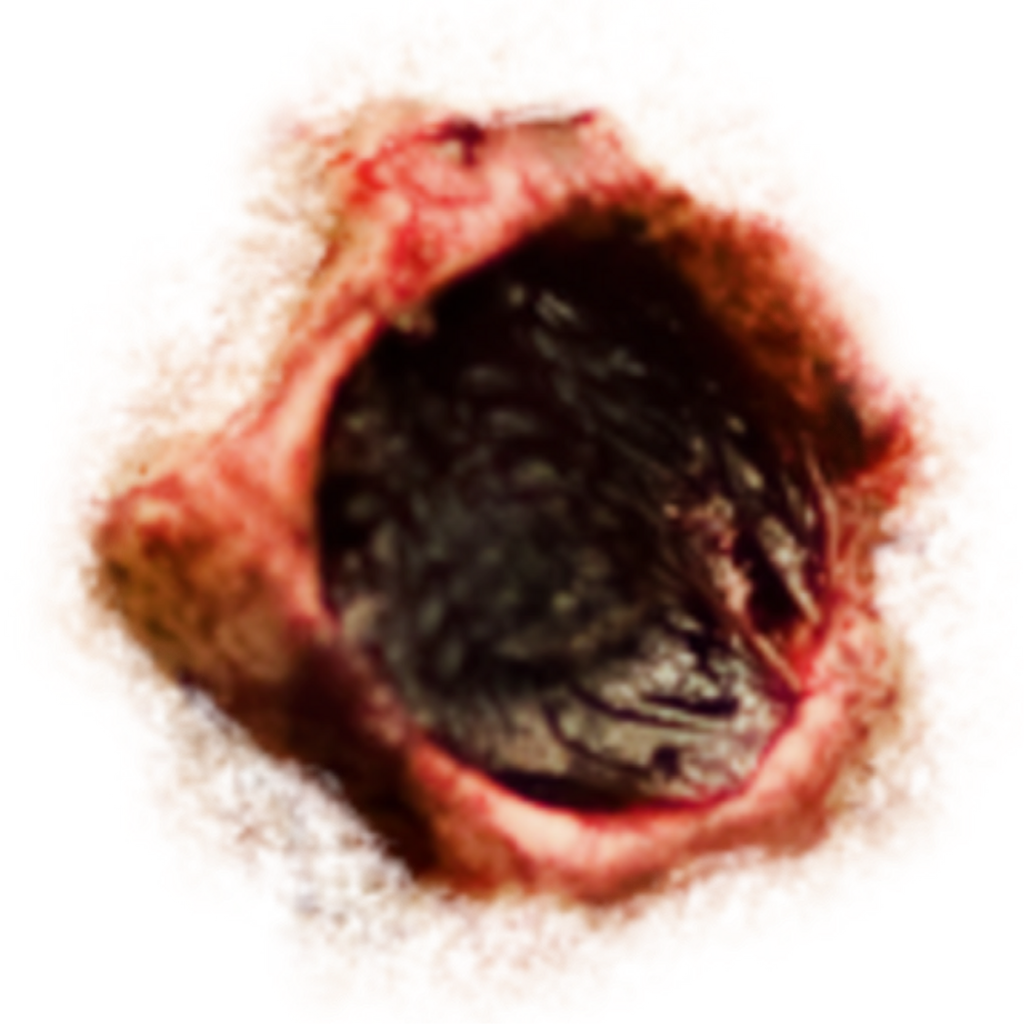 Bullethole Png (1024x1024), Png Download
