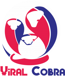 Contest Viral Cobra - Graphic Design (645x495), Png Download