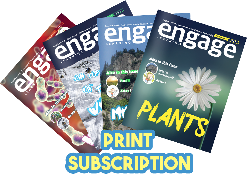 Choose Your Subscription - Flyer (938x666), Png Download