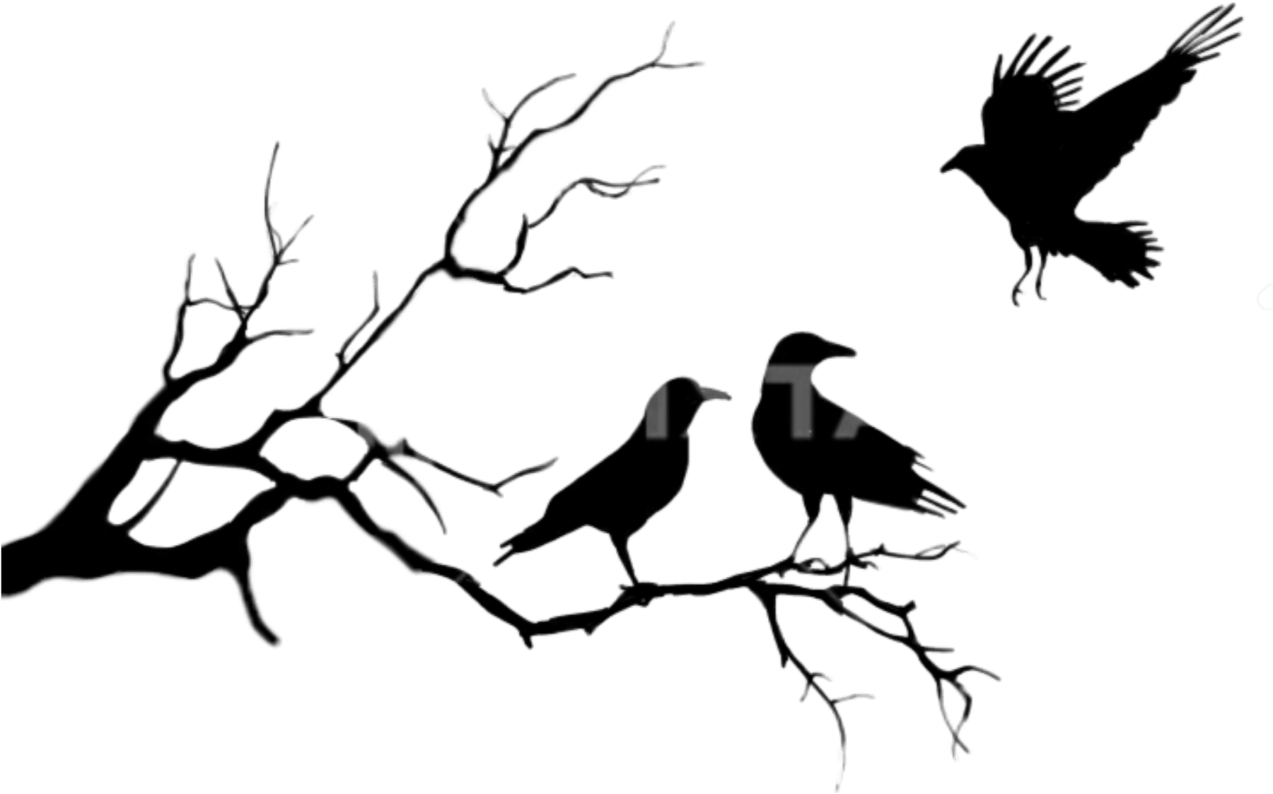 Birds Png Black Sticker Photography Freetoedit - Couple Cross Stitch Free (2157x2157), Png Download