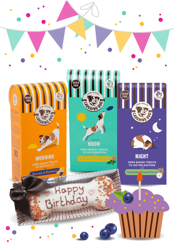 Birthday Presents For Your Dog - Illustration (600x870), Png Download