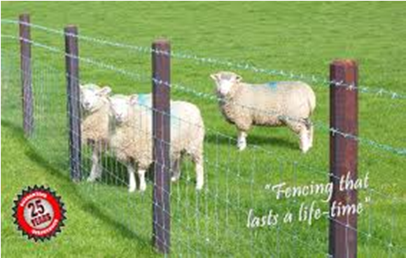 Octopost - Octopost Fencing (581x581), Png Download