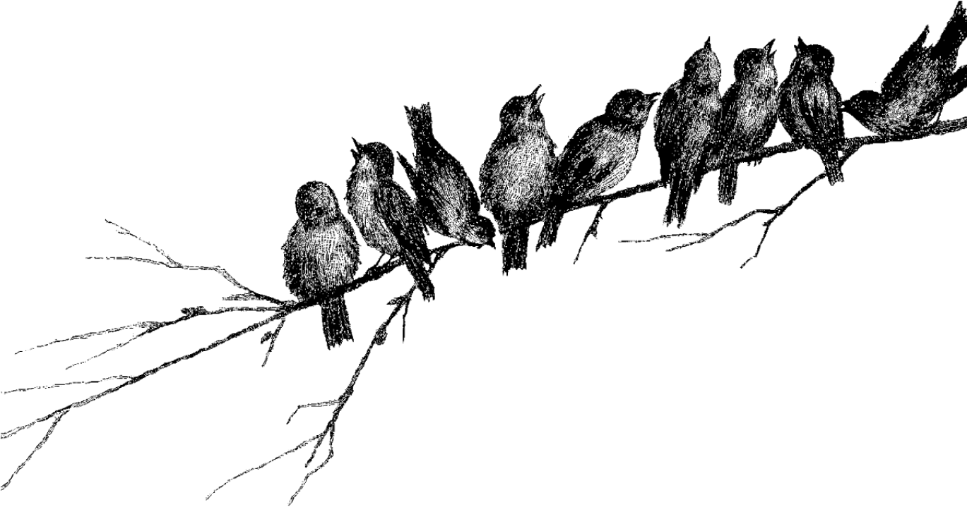 Digital Stamp Design - Flock (1368x855), Png Download